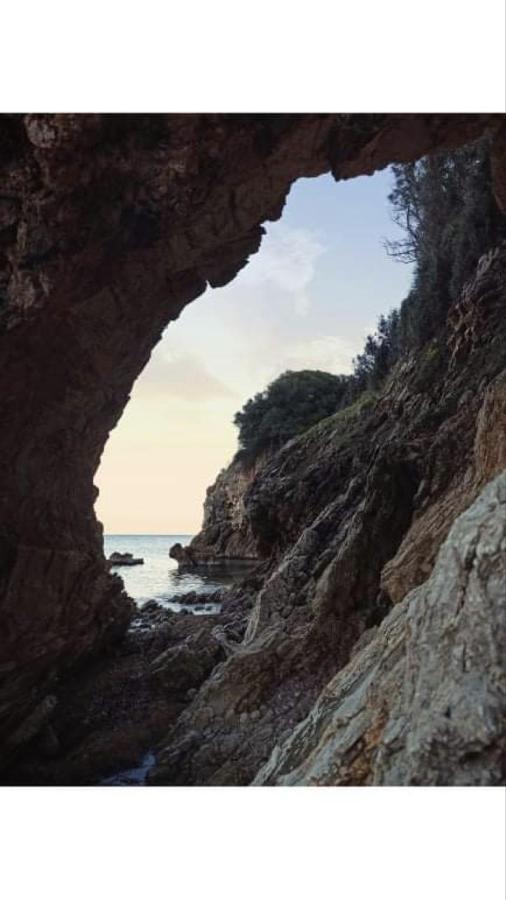 チラニ Αγρόκτημα Χελωναριά - Agroktima Chelonariaホステル エクステリア 写真