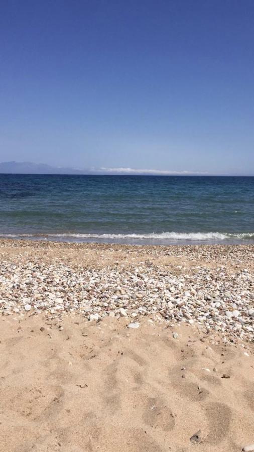 チラニ Αγρόκτημα Χελωναριά - Agroktima Chelonariaホステル エクステリア 写真